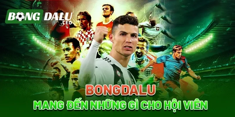 Chi tiết về giải đấu và cầu thủ ra sân